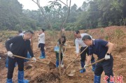栖霞广州已打造首批32处“绿美宗教活动场所”