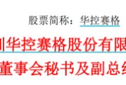 栖霞华控赛格董事长、董秘、副总经理三高管同日辞职